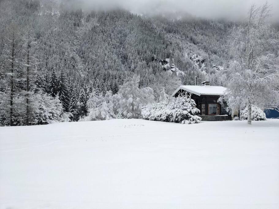 Chalet L'Ilet Ensoleille /Sunny Island Chalet Chamonix Zewnętrze zdjęcie