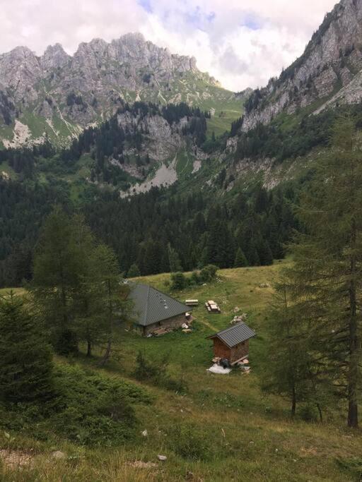 Chalet L'Ilet Ensoleille /Sunny Island Chalet Chamonix Zewnętrze zdjęcie